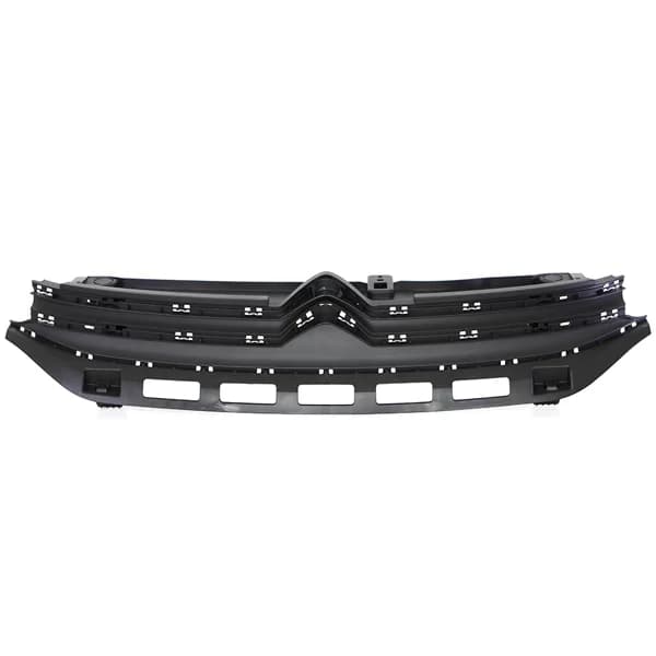 98120634XT Grille de radiateur — image 1