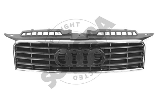 Grille de radiateur - A303101 — image 1